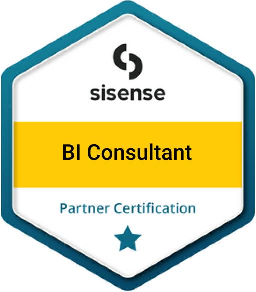 BI Consultant